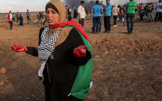 O massacre de Gaza