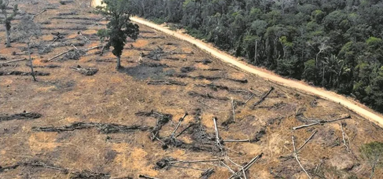 Welcome everyone to COP30: Brazil, a powerhouse of environmental destruction! Welcome everyone to COP30: Brazil, a powerhouse of environmental destruction!
